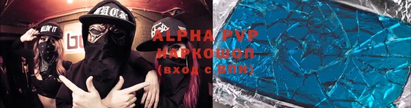 индика Арсеньев