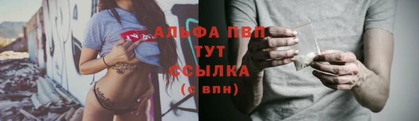 индика Арсеньев