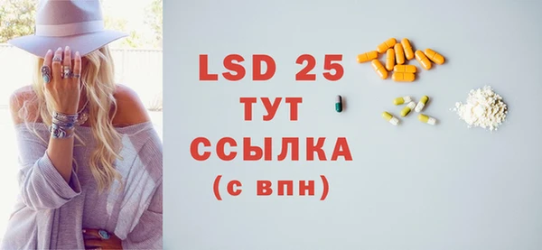 индика Арсеньев