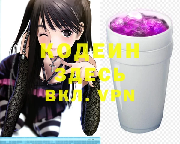 индика Арсеньев