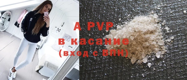 индика Арсеньев