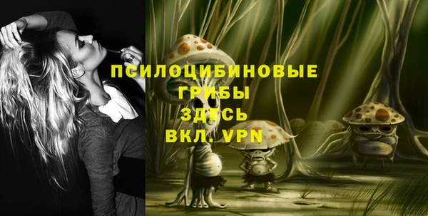 индика Арсеньев